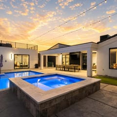 Desert Palm